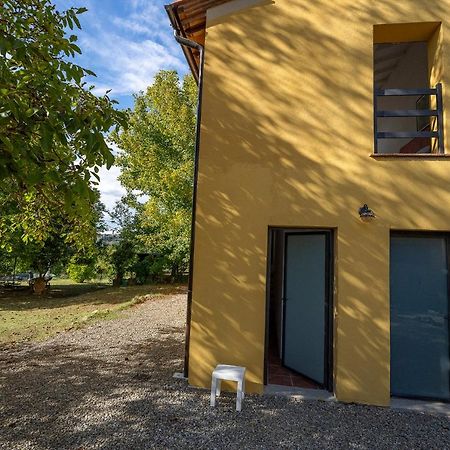Agriturismo La Valle Peccioli Экстерьер фото