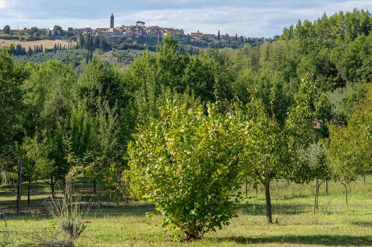 Agriturismo La Valle Peccioli Экстерьер фото